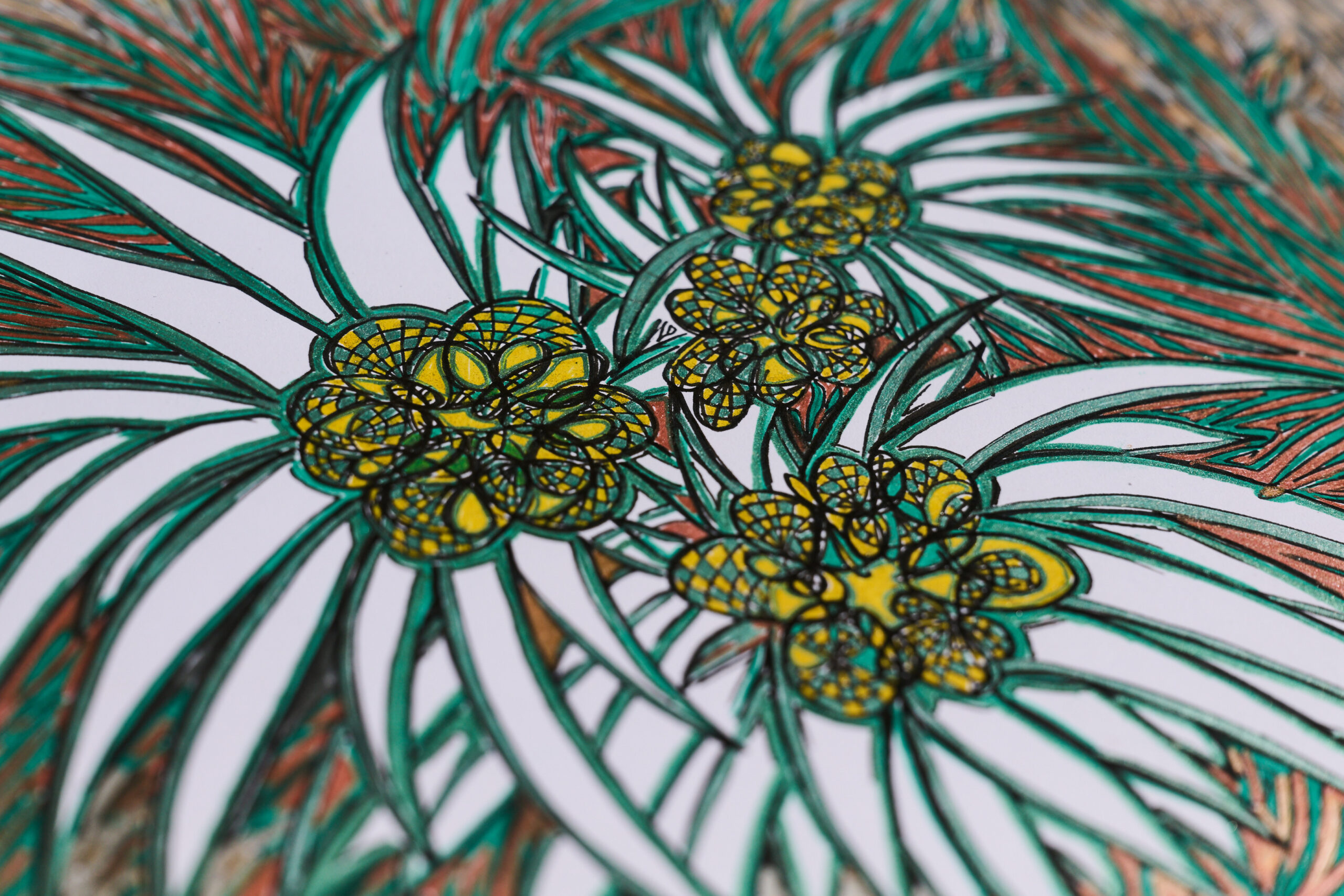 Edelweiss-Swissness - 2010,
21 H x 30 W 
Colored markers,
paper, drawing