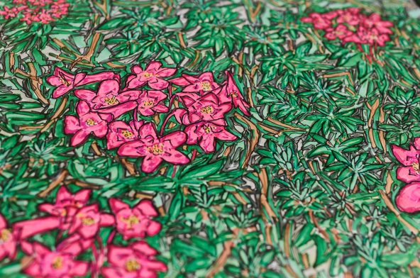 Alpenrose-Swissness - 2010,
24 H x 29 W
Colored markers,
paper, drawing