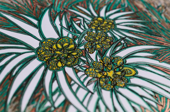 Edelweiss-Swissness - 2010,
21 H x 30 W 
Colored markers,
paper, drawing